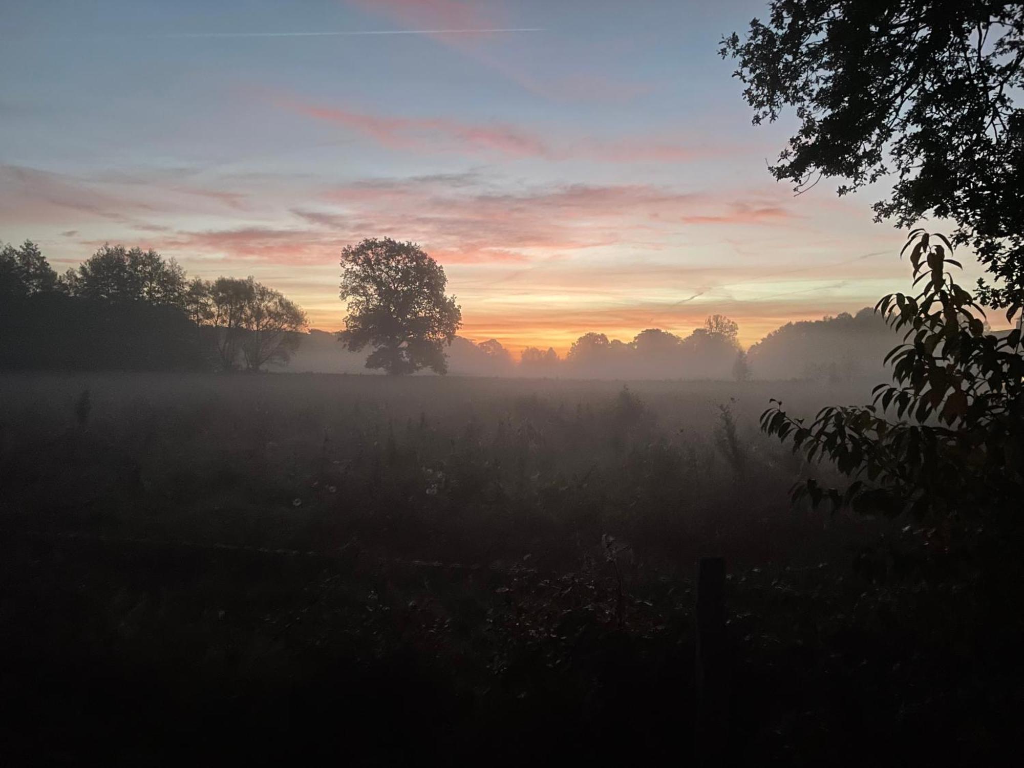 De Postelhoek B&B Oud-Ootmarsum Exteriör bild