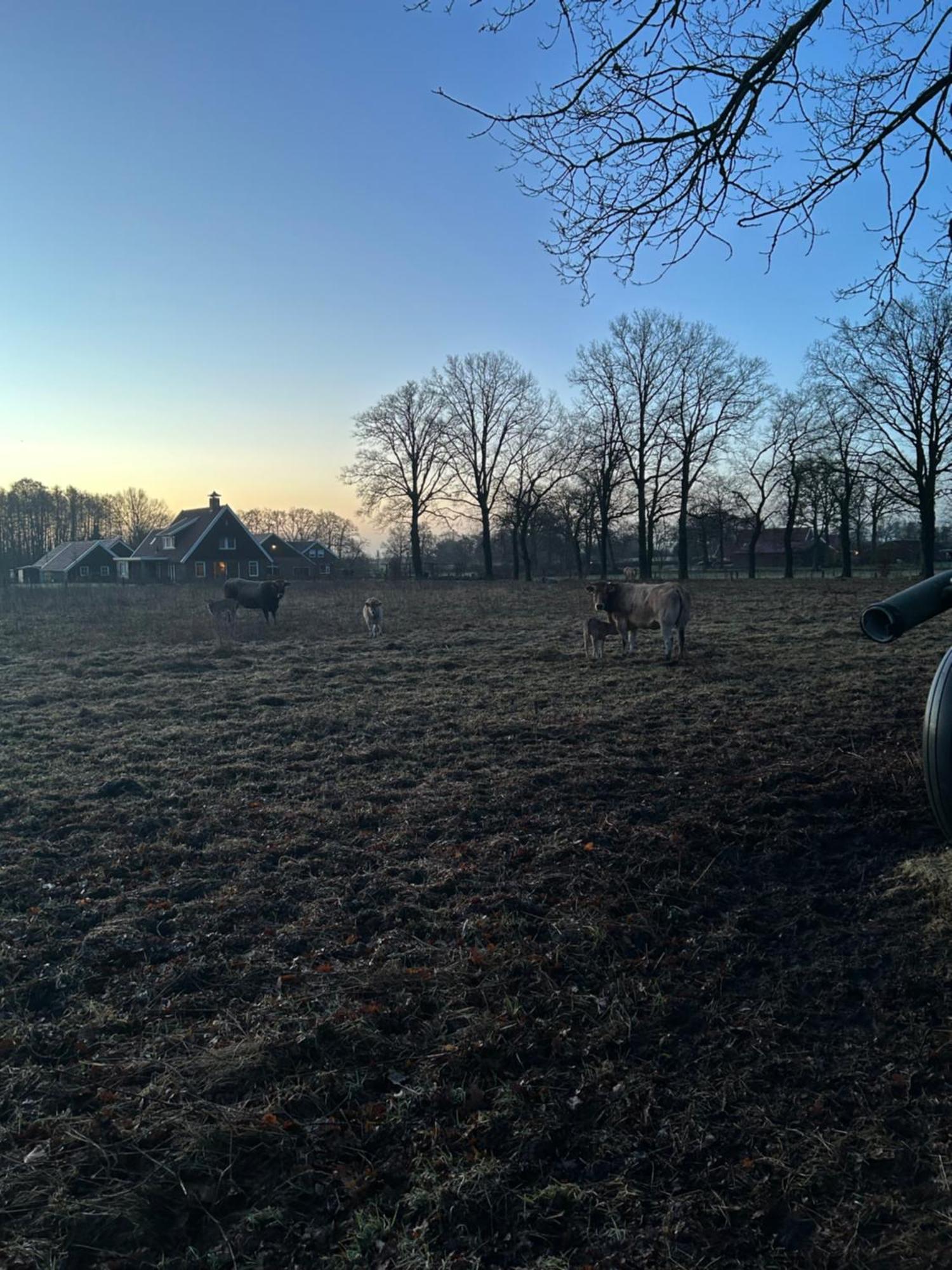 De Postelhoek B&B Oud-Ootmarsum Exteriör bild